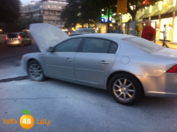 fireincarnew320 (3).JPG